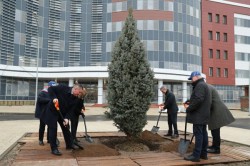 В Волгоградской области запустили масштабный социально-экологический проект по высадке деревьев